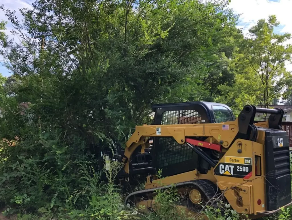 Tree Services in Chesterfield & Richmond | Peachers skid steer clearing land in chesterfield va