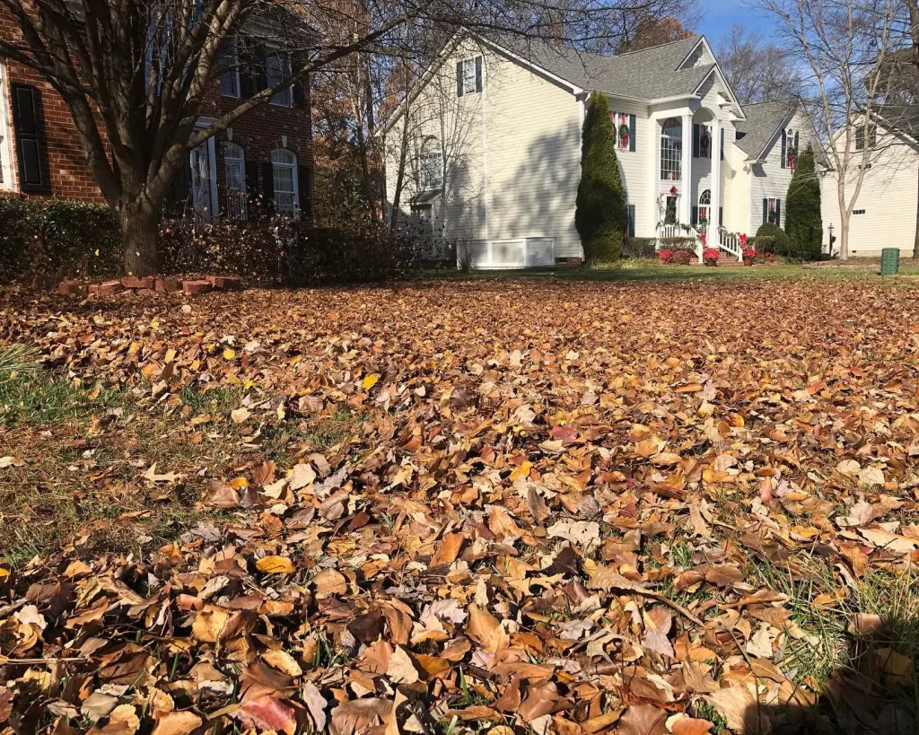 suburban house with yard filled with leaves in chesterfield va