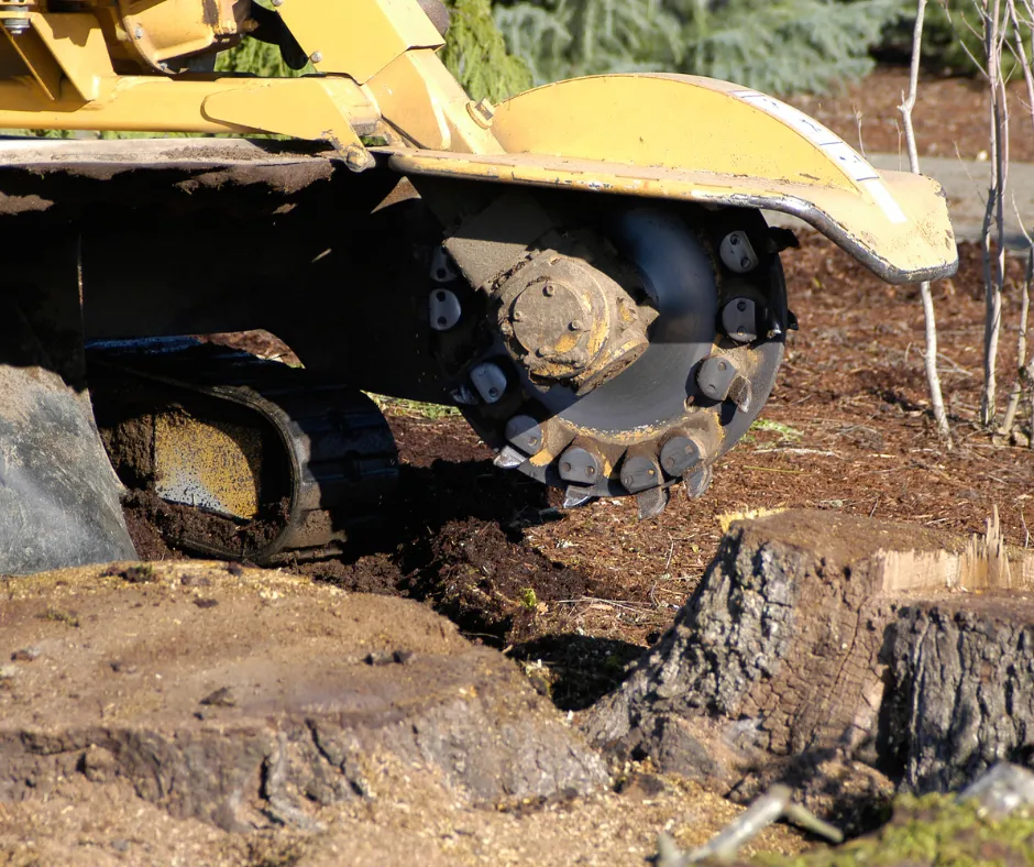 stump grinding in chesterfield va