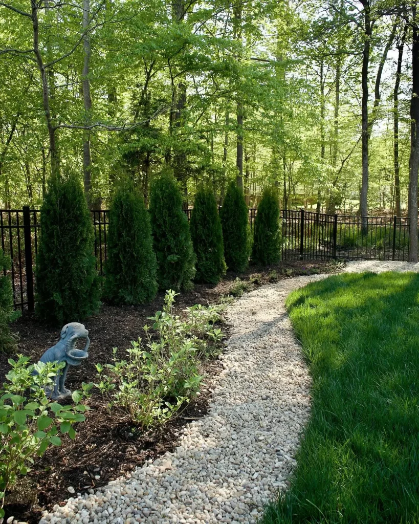 Landscaping Services in Chesterfield & Richmond | Peachers cypress trees installed in client backyard in chesterfield va